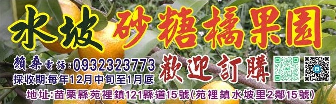 水坡砂糖橘果園的砂糖橘形象橫幅